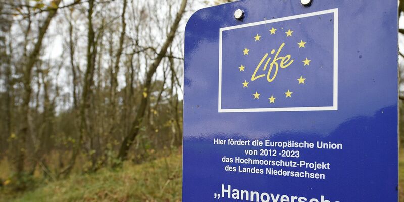 Das Hochmoorschutz-Projekt des Landes Niedersachsen «Hannoversche Moorgeest» im Naturschutzgebiet Bissendorfer Moor. - Foto: picture alliance / dpa