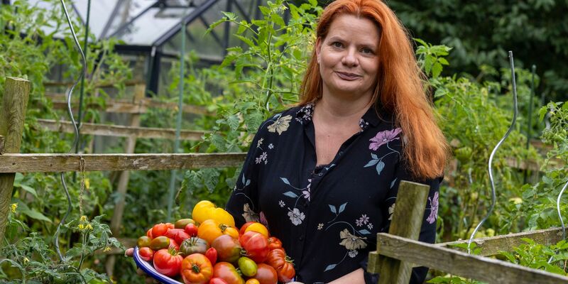 In Birgit Arndts Garten wachsen weit über 100 verschiedene Tomatensorten. - Foto: Christoph Reichwein/dpa