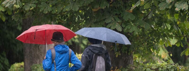 Passanten mit Regenschirmen in Moritzburg in Sachsen. - Foto: Sebastian Kahnert/dpa