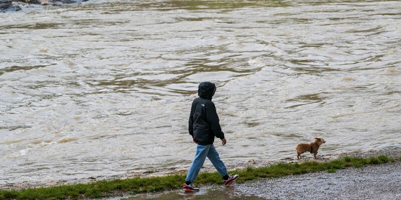 Eine Runde Gassi bei Regenwetter an der Isar in München. - Foto: Peter Kneffel/dpa