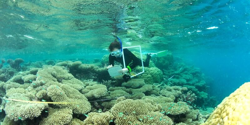 Eine Wissenschaftlerin überwacht das Korallenwachstum an Riffen im Indischen Ozean. - Foto: Nick Graham/Lancaster University/dpa