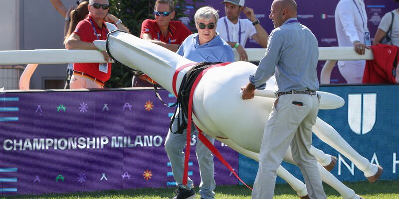 Zwei weiße Pferde im Parcours sorgten wenige Stunden vor dem Start der Reit-WM für Aufregung. - Foto: Friso Gentsch/dpa