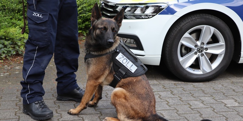 HZA-BI: Bielefelder Zoll stoppt Drogenfahrt auf A2/Fahrer unter Betäubungsmitteleinfluss - Beifahrer hatte Alkohol getrunken - Zollhündin Skadi im Einsatz - Foto: presseportal.de