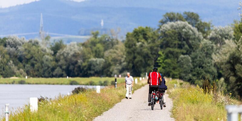 Zwei Radfahrer fahren neben dem Rhein auf einem Weg entlang. - Foto: Philipp von Ditfurth/dpa