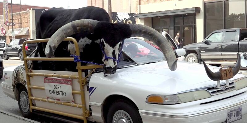 Der Watusi-Bulle namens Howdy Doody im Auto von Lee Meyer. - Foto: Uncredited/News Channel Nebraska/AP/dpa