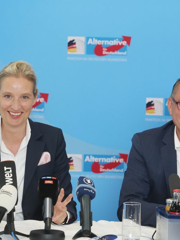 In Umfragen Verlieren Die Ampel Parteien An Zustimmung Die Afd Legt