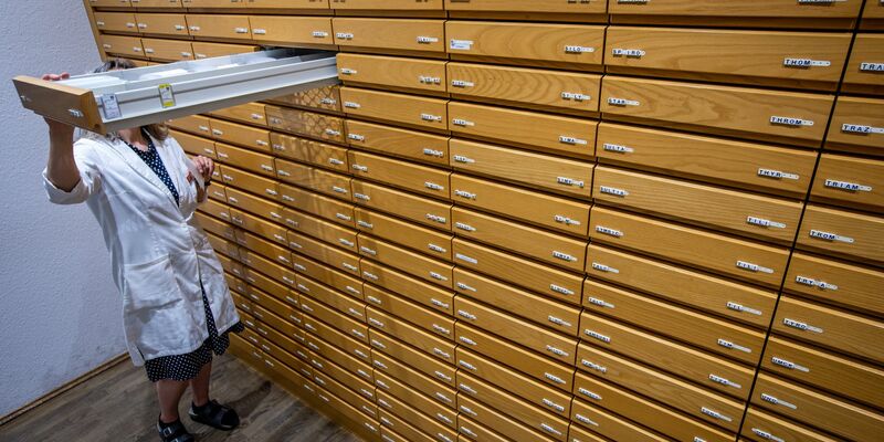 Die Sorge vor neuen Arzneimittel-Engpässen im Herbst und Winter ist groß. - Foto: Jens Büttner/dpa