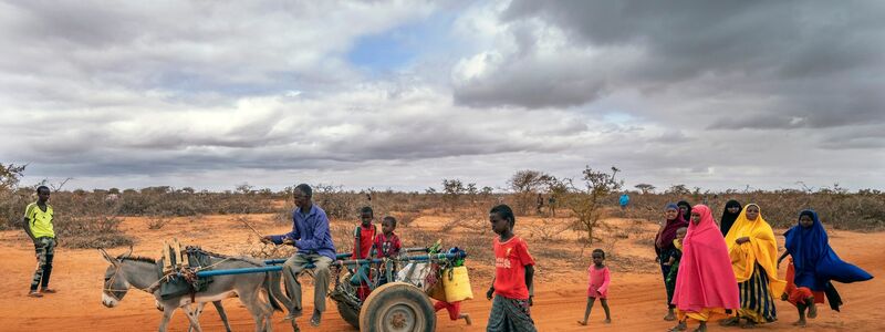 Menschen kommen im somalisch-äthiopischen Grenzgebiet in einem Vertriebenenlager an - sie wurden wegen der Dürre aus ihren angestammten Regionen vertrieben. - Foto: Jerome Delay/AP/dpa