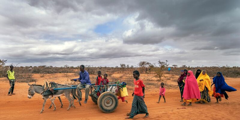 Menschen kommen im somalisch-äthiopischen Grenzgebiet in einem Vertriebenenlager an - sie wurden wegen der Dürre aus ihren angestammten Regionen vertrieben. - Foto: Jerome Delay/AP/dpa