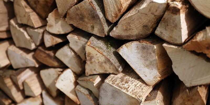 Rund 1,1 Millionen Haushalte in Deutschland nutzen Scheitholz, Holzpellets oder Holzhackschnitzel in Heizkesseln als primäre Energiequelle zum Heizen des kompletten Wohnraums. - Foto: Bernd Wüstneck/dpa