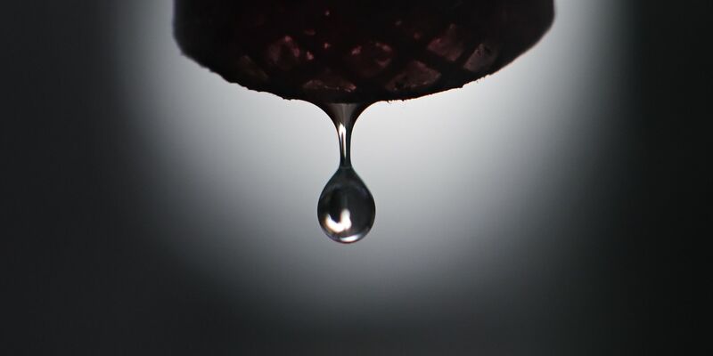 «Die EU muss eine zukunftsfähige Wasser- und Klimaanpassungsagenda vorantreiben.» - Foto: Sebastian Gollnow/dpa