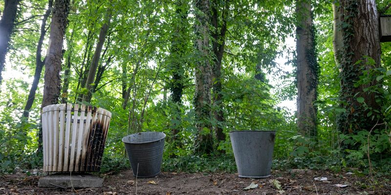 Zwischen den Bäumen gegenüber eines Seiteneingangs eines Schulzentrums in Lohr am Main ist ein toter Jugendlicher gefunden worden. - Foto: Pia Bayer/dpa