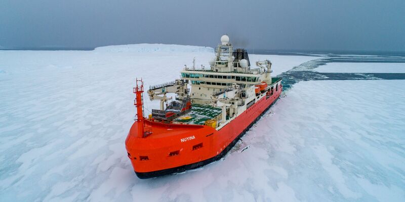 Hat die erkrankte Person erfolgreich evakuieren können: der australische Eisbrecher «RSV Nuyina». - Foto: Pete Harmsen/Australian Antarctic Division/dpa