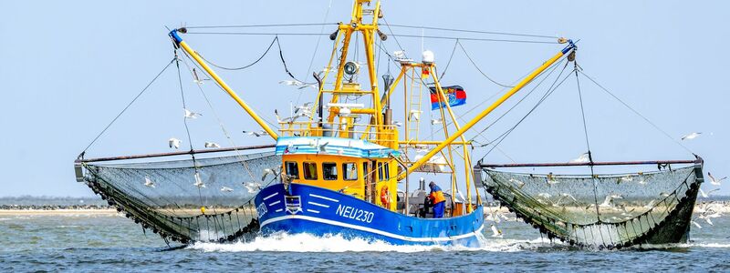 Der Verband der Deutschen Kutter- und Küstenfischer ist vor Gericht gescheitert. - Foto: Sina Schuldt/dpa