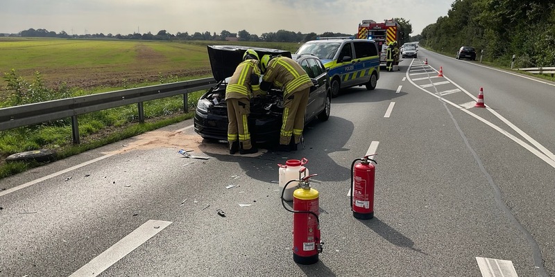 FW-BO: Tretbootschwäne auf Abwegen - Ungewöhnlicher Hilfeleistungseinsatz von Feuerwehr und DLRG auf der Ruhr in Dahlhausen - Foto: presseportal.de
