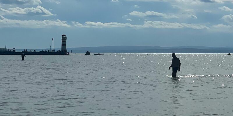 Donauwasser soll den Neusiedler See in Österreich retten. - Foto: Matthias Röder/dpa