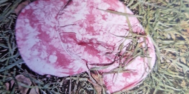 POL-PDWIL: Sichergestellte Gegenstände nach Diebstählen aus PKW - Eigentümer gesucht - Foto: presseportal.de