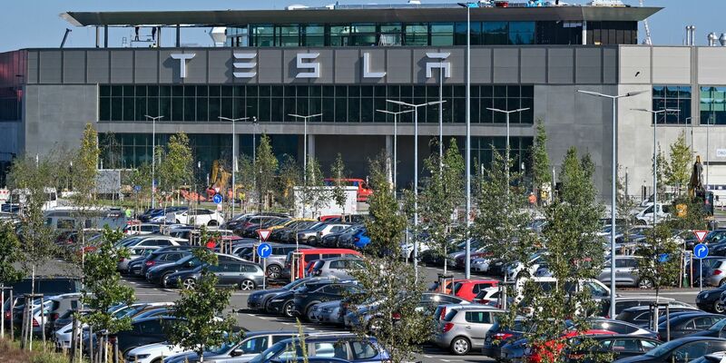 Selbst US-Präsident Trump will seinem Berater Musk und dessen Autofirma nun unter die Arme greifen. - Foto: Patrick Pleul/dpa