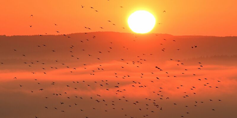 Der September 2023 war laut vorläufiger DWD-Bilanz auch der zweitsonnigste seit Beginn der Aufzeichnungen. - Foto: Martin Schutt/dpa