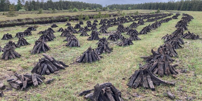 In Pyramiden gestapelter Torf wartet auf den Abtransport. Irland stellt sich um, aber noch immer sind Zehntausende Haushalte im Land auf die Torf-Barren angewiesen. - Foto: Domhnall Farline/dpa
