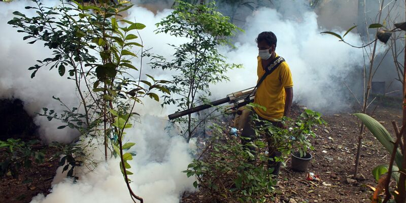 Aufgrund der vielen Dengue-Fieber-Fälle werden in den Straßen von Bangladesch Mittel versprüht, um die Aedes-Stechmücken zu töten. - Foto: Md Akbar Ali/ZUMA Press Wire/dpa