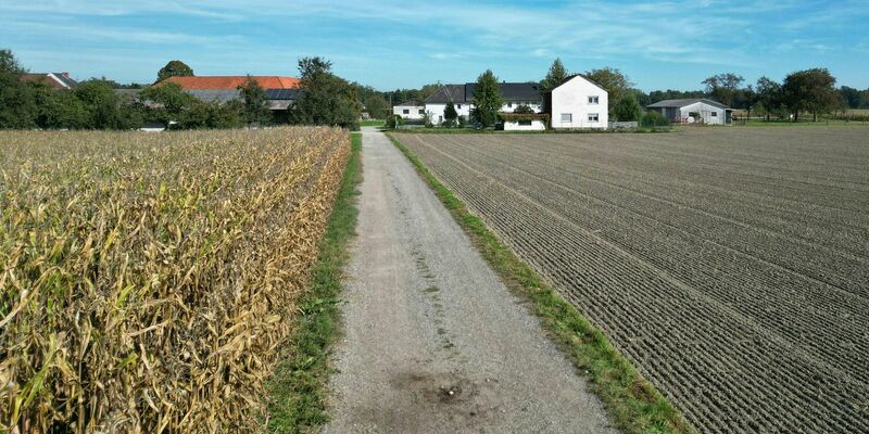 Ein Feldweg in Naarn. - Foto: Fotokerschi.At/Taras Panchuk/APA/dpa