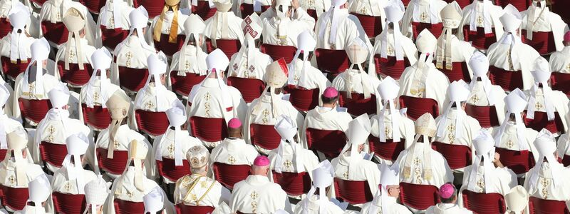 Der Papst feiert die Heilige Messe mit den neuen Kardinälen und dem Kardinalskollegium auf dem Petersplatz. - Foto: Evandro Inetti/ZUMA Press Wire/dpa