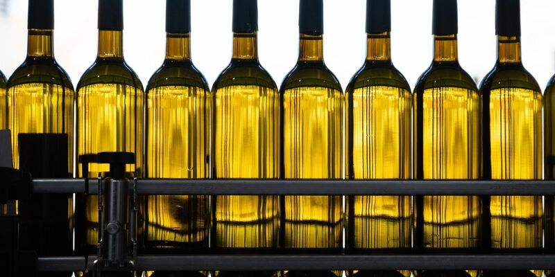 Was wie genau nach der Etikettenverordnung angegeben werden muss, ist für Winzer wichtig. - Foto: Sebastian Kahnert/dpa-Zentralbild/dpa