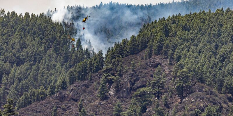 Erst im August hatte es einen verheerenden Waldbrand auf der spanischen Urlaubsinsel gegeben. Wie auf dem Bild zu sehen, waren auch Löschhubschrauber im Einsatz. (Archivbild) - Foto: Europa Press/EUROPA PRESS/dpa