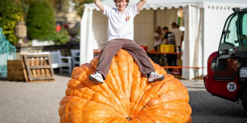 Luca Stöckl ist der neue Europameister. - Foto: Christoph Schmidt/dpa