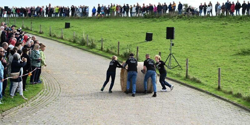Rund 300 Kilo ist solch ein Strohballen schwer. - Foto: Lars Penning/dpa