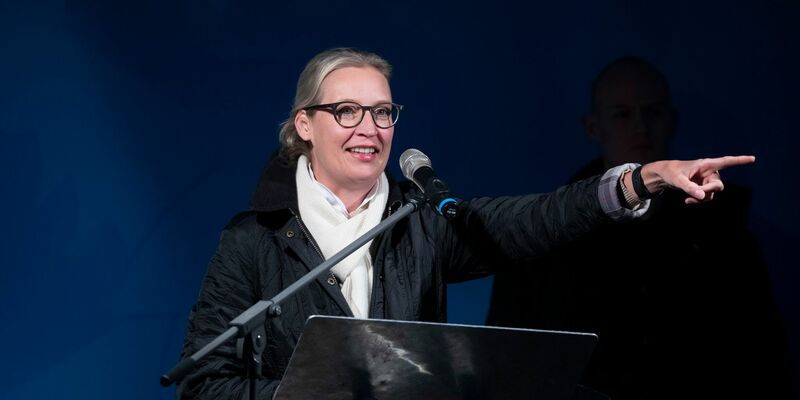 AfD-Bundesvorsitzende Alice Weidel musste zuletzt in Sicherheit gebracht werden. - Foto: Helmut Fricke/dpa