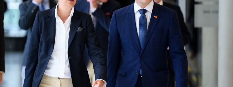 Die AfD wird vorerst vom Bundesamt für Verfassungsschutz weiter als rechtsextremistischer Verdachtsfall eingestuft. (Archivbild) - Foto: Bernd von Jutrczenka/dpa