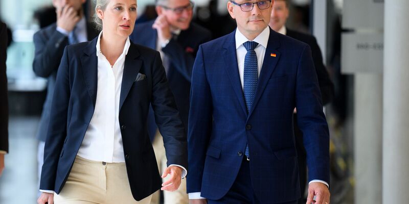 Alice Weidel und Tino Chrupalla wurden als Fraktionsvorsitzende bestätigt. - Foto: Bernd von Jutrczenka/dpa