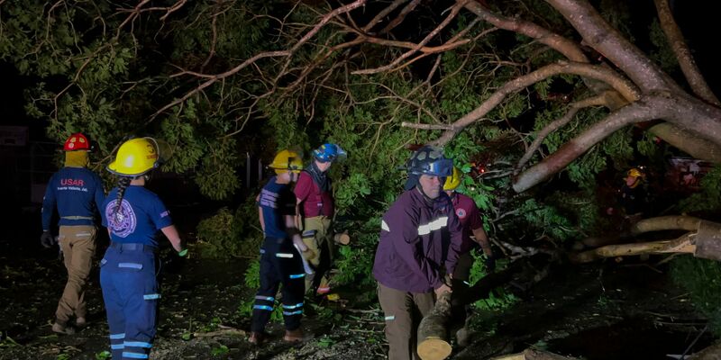 Feuerwehrleute in Mexiko entfernen Bäume, die auf einer Straße liegen. - Foto: Valentin Gonzalez/AP/dpa