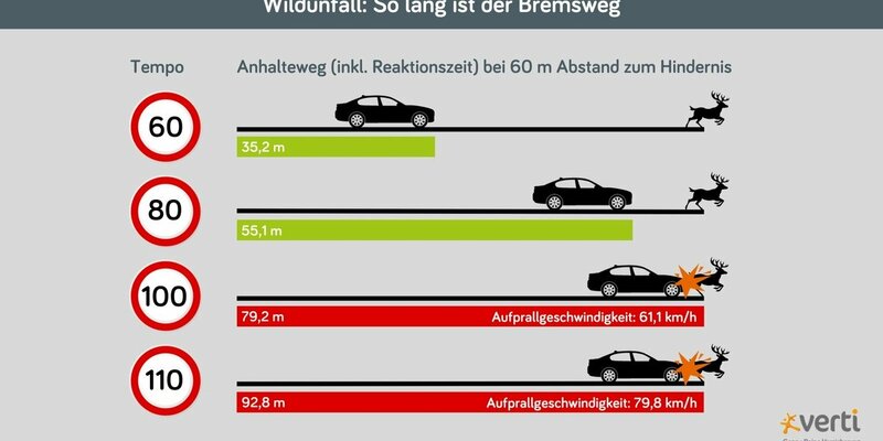 Gefahr von Wildunfällen steigt nach der Zeitumstellung / Im November und April passieren besonders viele Unfälle mit Tierkollisionen - Foto: presseportal.de
