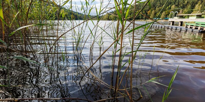 Blick von der Paddlergilde Kaiserslautern auf den See Gelterswoog bei Hohenecken, einem Ortsteil von Kaiserslautern in der Pfalz. - Foto: View/Reiner Voß/dpa