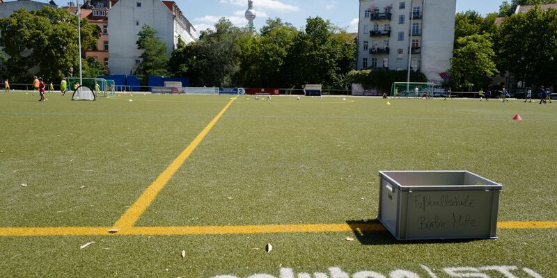 Blick auf einen Kunstrasenplatz. Die EU-Behörde verbietet ab 2031 den Einsatz von Granulat, das zwischen die grünen Plastikhalme von Kunstrasen gestreut wird, um die Umwelt zu schützen. - Foto: Jörg Carstensen/dpa