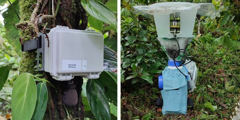 Soundrekorder (l) und automatische Lichtfalle zur Erfassung von Tierstimmen und Nachtinsekten. - Foto: Annika Busse/Springer Nature/dpa