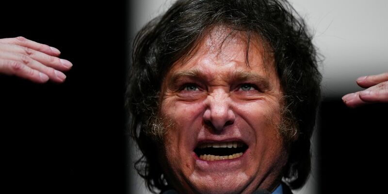 Javier Milei ist zum neuen Präsidenten Argentiniens gewählt worden. - Foto: Natacha Pisarenko/AP