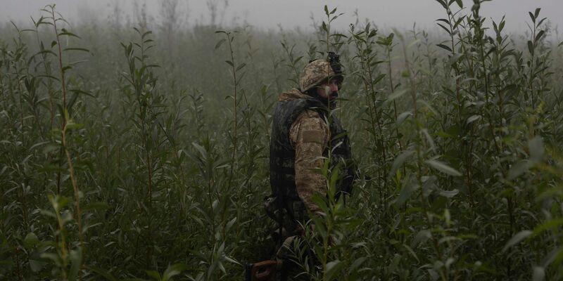 Ukrainische Marinesoldaten gehen durch Gelände an der Frontlinie in der Nähe des Flusses Dnepr. (Archivbild) - Foto: Alex Babenko/AP/dpa