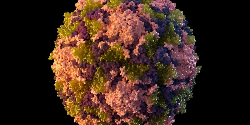 Die von der US-Behörde CDC zur Verfügung gestellte Illustration aus dem Jahr 2014 zeigt ein Poliovirus-Partikel. - Foto: CDC/AP/dpa
