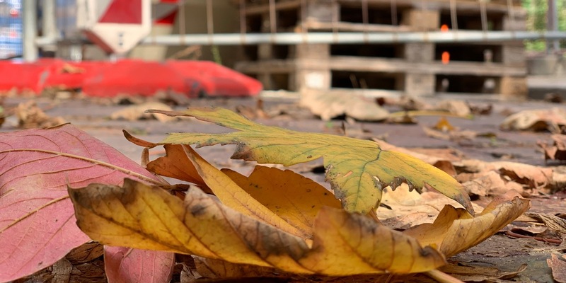 Herbstliche Witterung: Wie man auf Baustellen trittsicher bleibt - Foto: presseportal.de