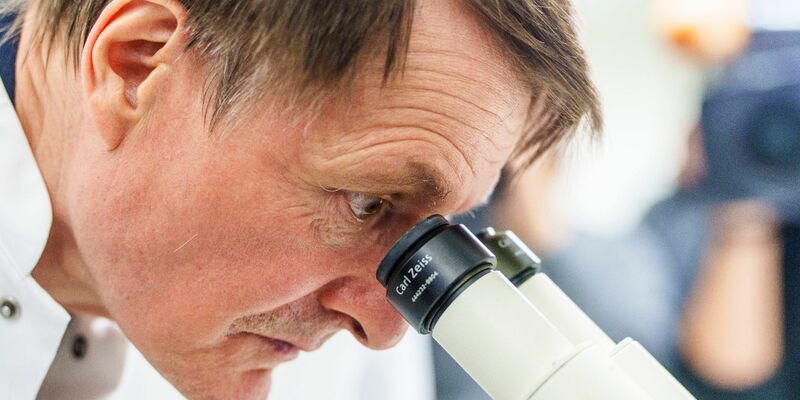 Karl Lauterbach (SPD), Bundesgesundheitsminister, betrachtet unter einem Mikroskop Krebszellen. - Foto: Andreas Arnold/dpa