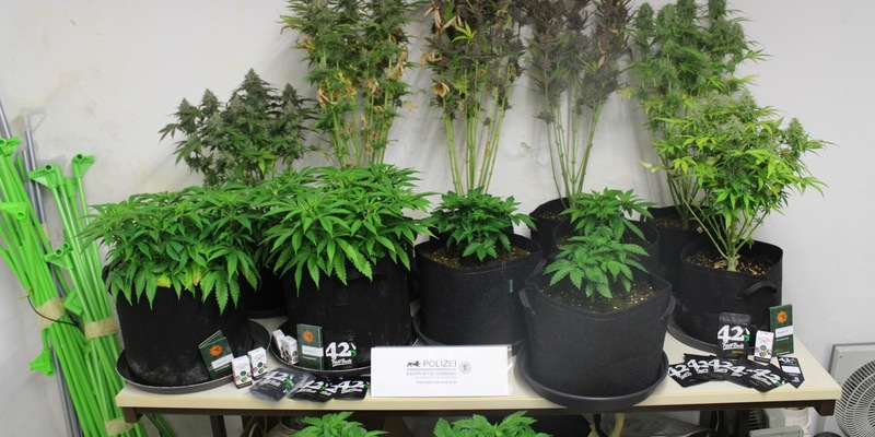 POL-OG: Haslach im Kinzigtal - Drogendepot aufgedeckt - Foto: presseportal.de