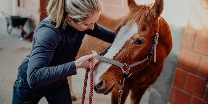 Julia Greb: Pferd fit für den Winter machen - Foto: presseportal.de