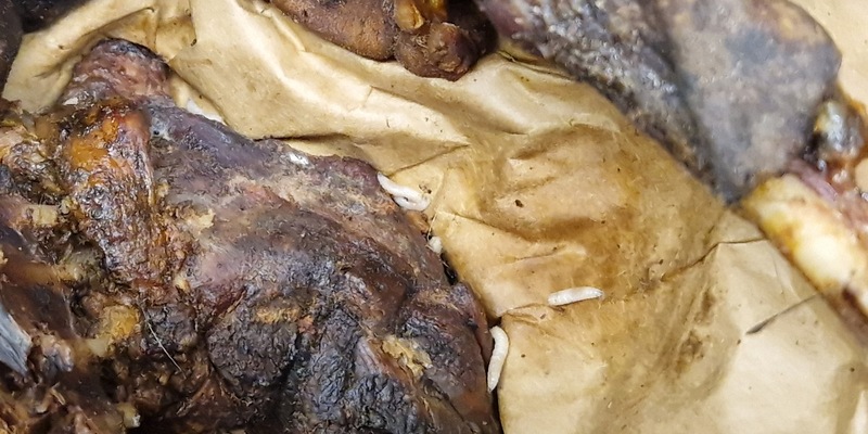 HZA-H: Starke Nerven gefragt - Zoll macht Ekelfund am Flughafen Hannover - Foto: presseportal.de