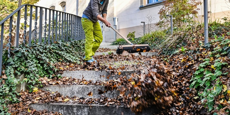 Herbst: Wer muss Bürgersteig vom Laub freihalten? - Foto: presseportal.de