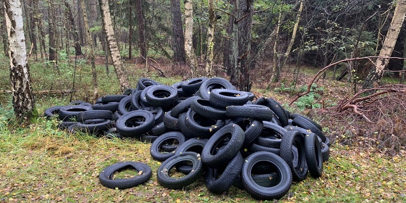 POL-ROW: ++ Altreifen im Wald entsorgt - Polizei bittet um Hinweise ++ - Foto: presseportal.de
