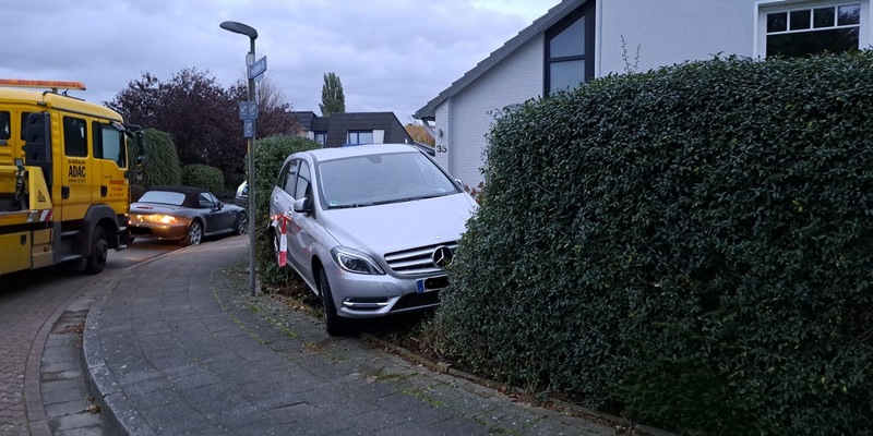 POL-NI: Rückwärts in die Hecke gefahren - Gas und Bremse verwechselt - Foto: presseportal.de